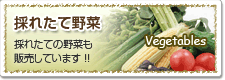 採れたて野菜販売